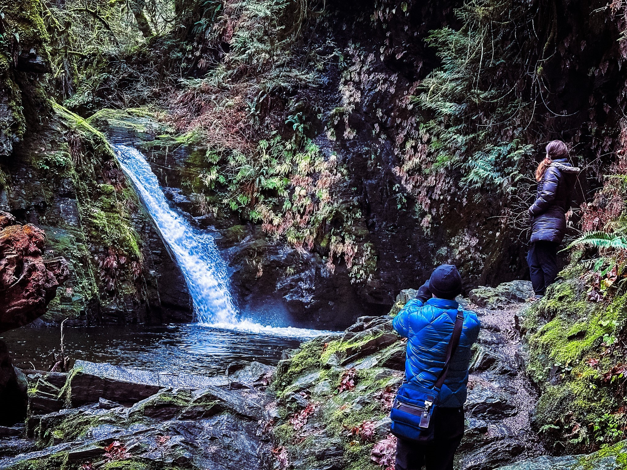 Goldstream Falls